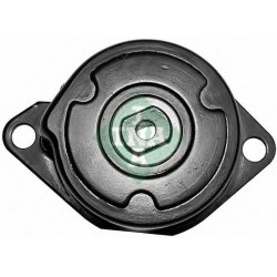 Tendicinghia cinghia Poly-V