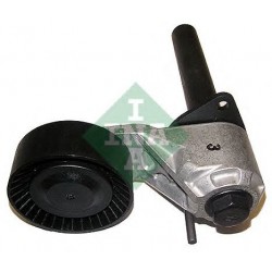 Tendicinghia cinghia Poly-V