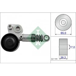 Tendicinghia cinghia Poly-V