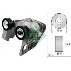 Tendicinghia cinghia Poly-V